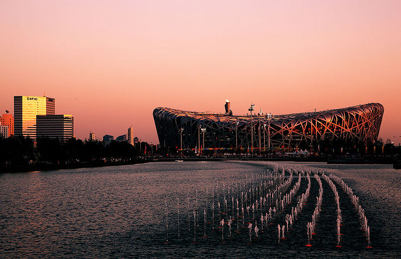 Birds Nest_at_twilight